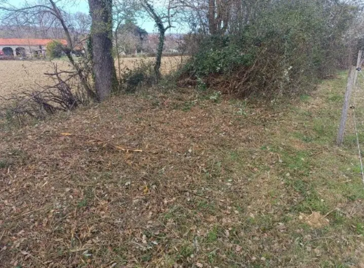 Débroussaillage de terrain